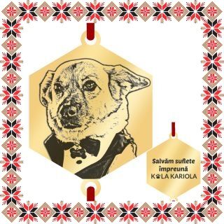 Martisor Personalizat Bratara Inox Placat Aur 18K Hexagon Costi Domn Kola Kariola