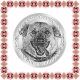 Martisor Brosa Inox Banut Pietre Costi Salvam Suflete Kola Kariola