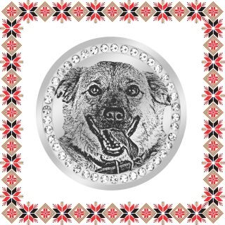 Martisor Brosa Inox Banut Pietre Costi Salvam Suflete Kola Kariola