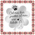 Martisor Brosa Inox Trifoi Argintiu Cel Mai Bun Prieten Kola Kariola