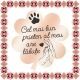 Martisor Brosa Inox Trifoi Rose Gold Cel Mai Bun Prieten Kola Kariola