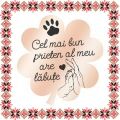 Martisor Brosa Inox Trifoi Rose Gold Cel Mai Bun Prieten Kola Kariola