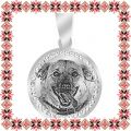 Martisor Pandantiv Inox Banut Pietre Argintiu Costi Kola Kariola